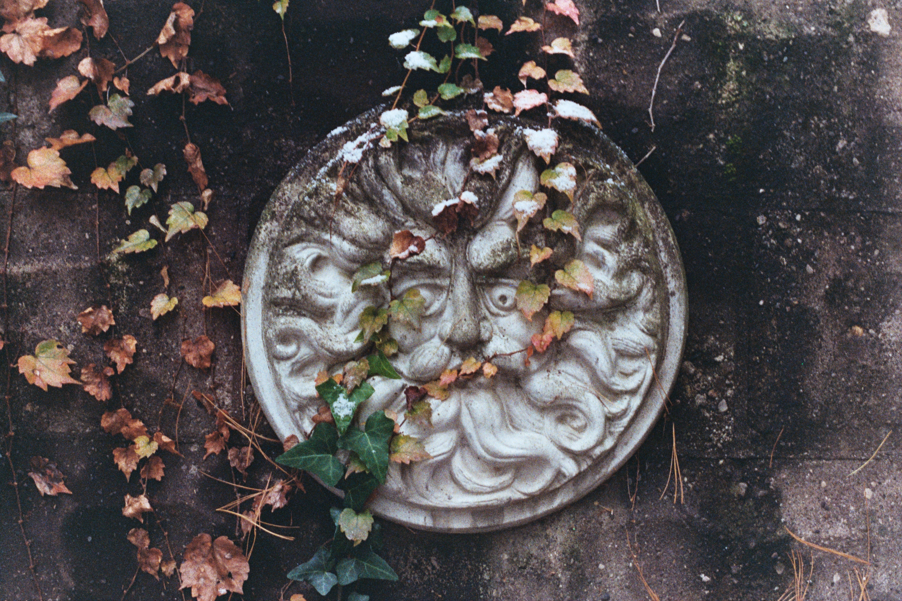 Relief with leaves